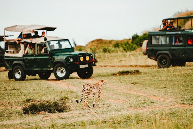 jesh-tours-and transport